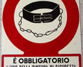 wbgpI